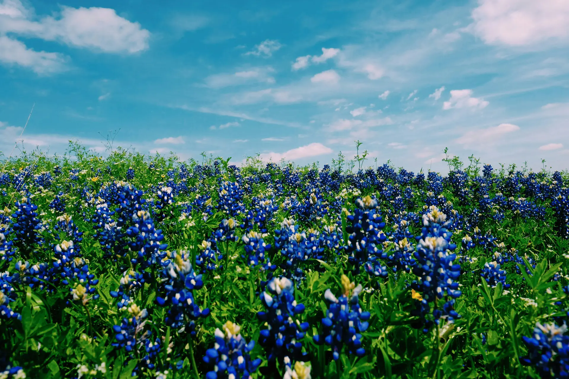 3-Day Inner Immersion Wellness & Sound Healing Retreat in Texas, USA