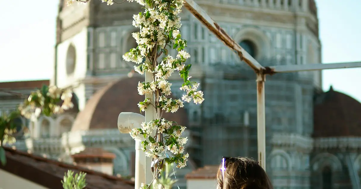 Olive Harvest Wellness Week in the Tuscan Hills Above Florence