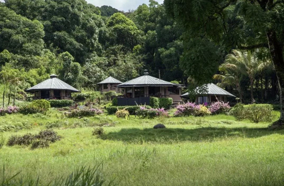 Galapagos Islands Yoga Retreat: 8-Day Adventure with Daily Yoga and Wildlife Excursions