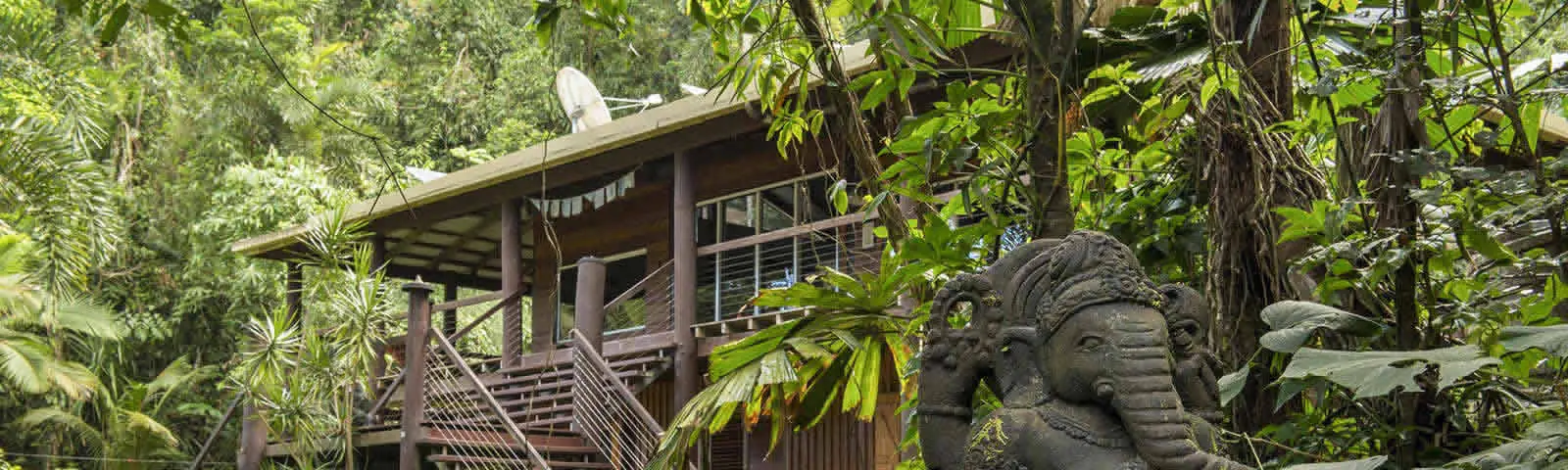 Daintree Rainforest Yoga & Meditation Retreat: Digital Detox in Australia's Wet Tropics