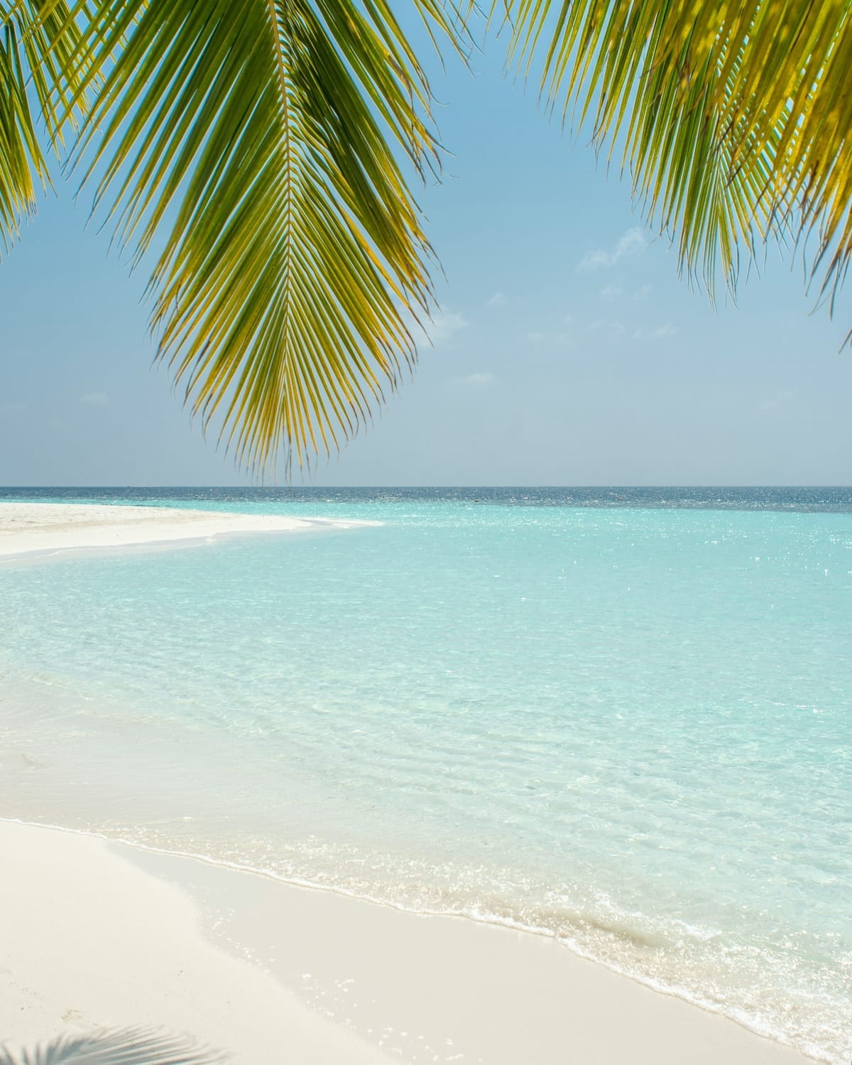 Yoga & Sailing Retreat in the San Blas Islands