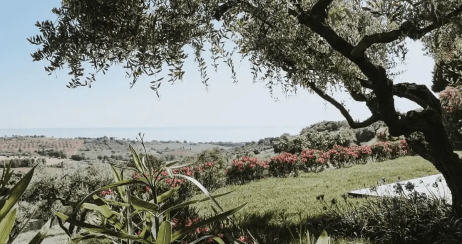 Vitalità: A 7-Night Yoga and Slow Living Retreat in Coastal Le Marche, Italy