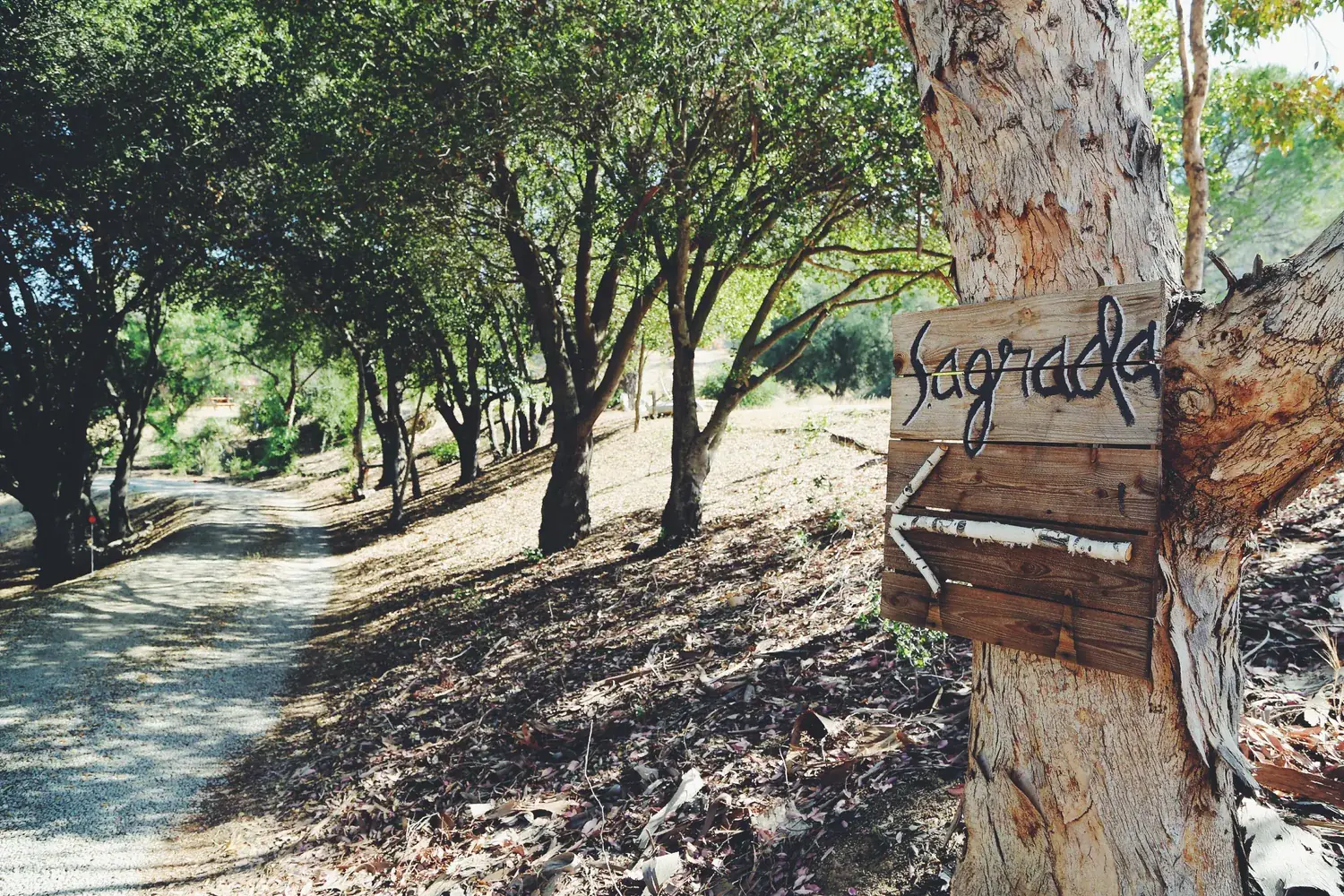 All-Inclusive Yoga & Wellness Retreat on a 45-Acre Mountain Ranch in California's Central Coast