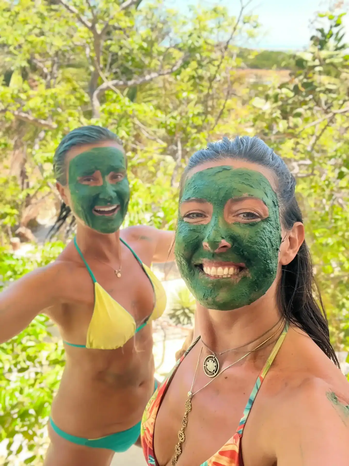 Holystika Detox & Vitality Retreat with Fresh Spirulina in Northeast Brazil