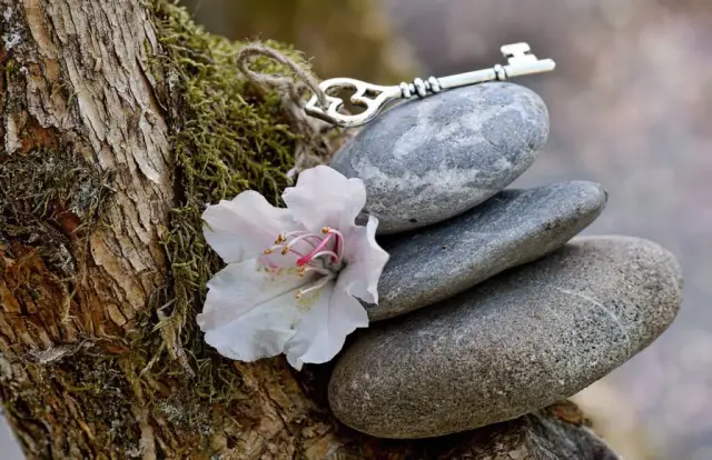 Deep Reset: A Private 3-Day Nervous System Retreat with Anca Uni