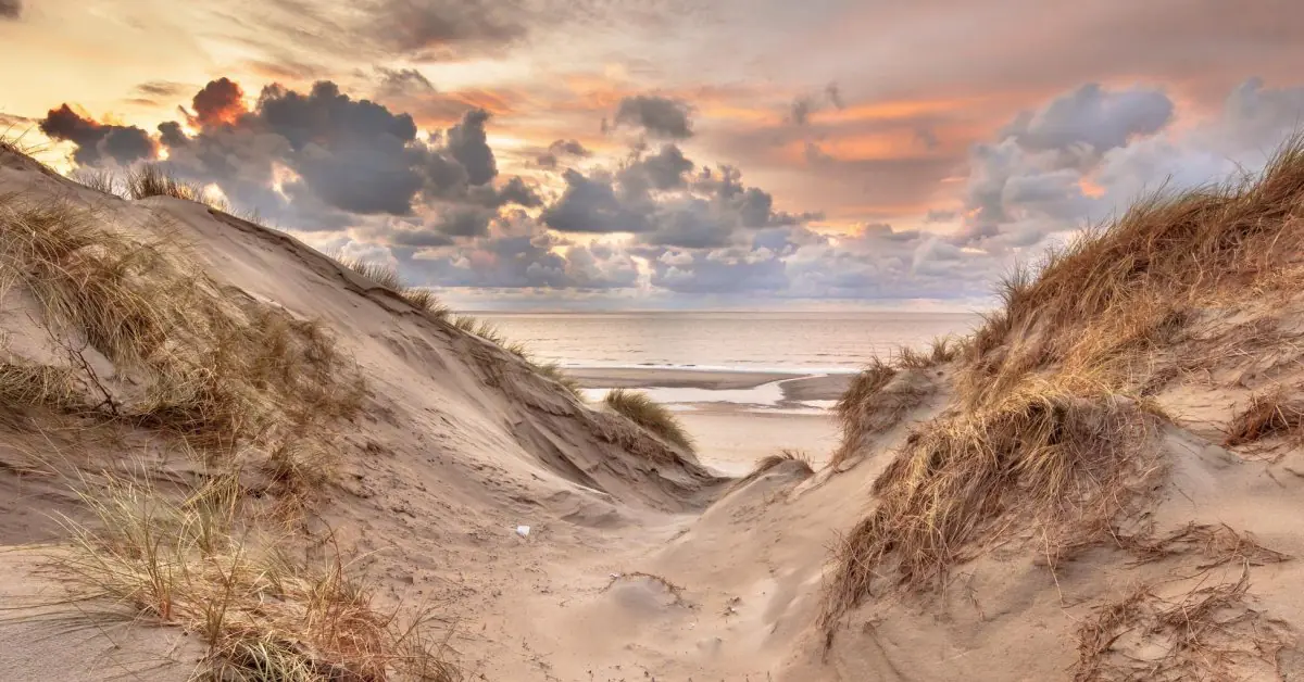 Surf & SUP Adventure Camp for Teens on the Dutch Coast
