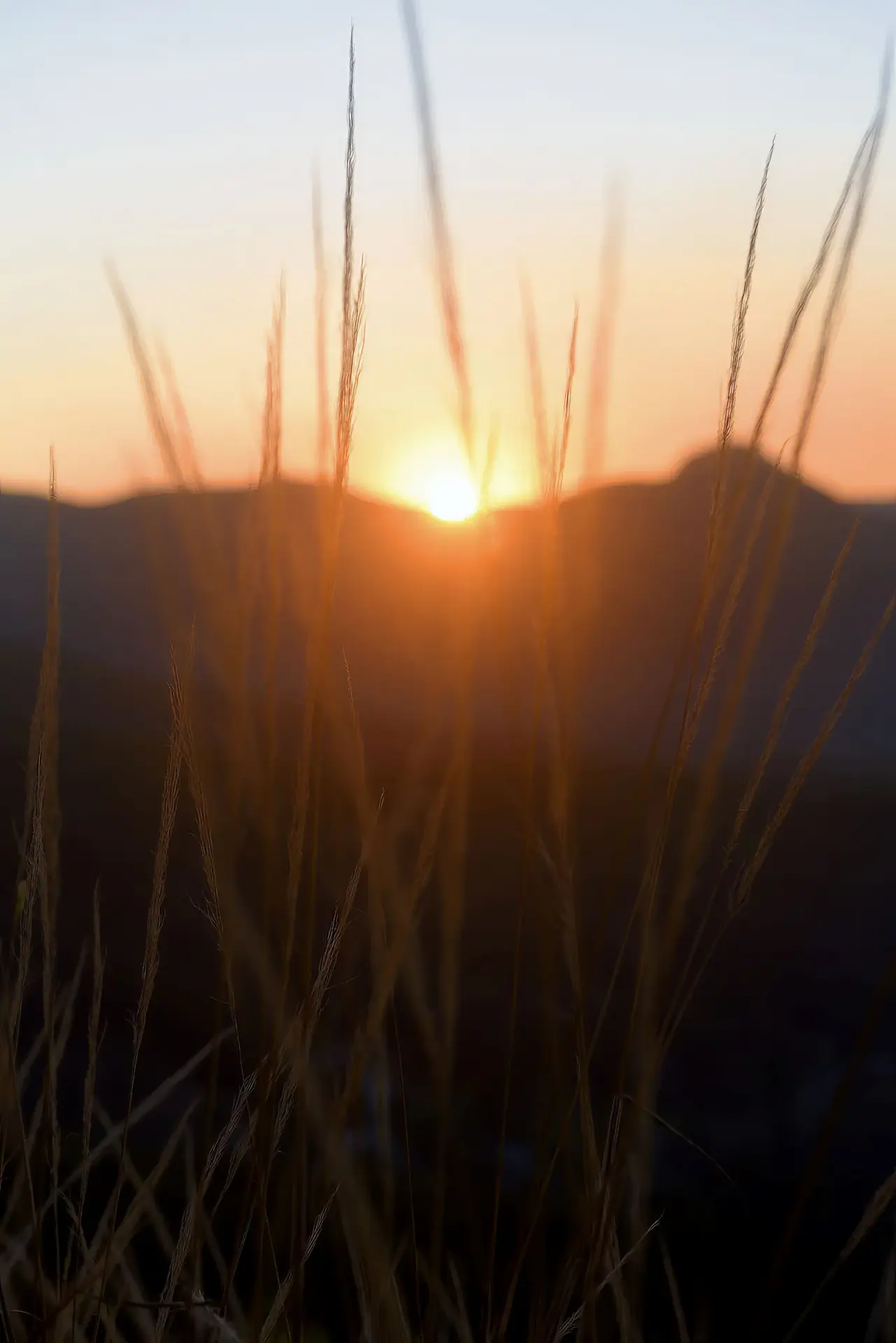 Gwinganna Rest and Reset: 4-Night Mini Detox Retreat, Gold Coast Hinterland
