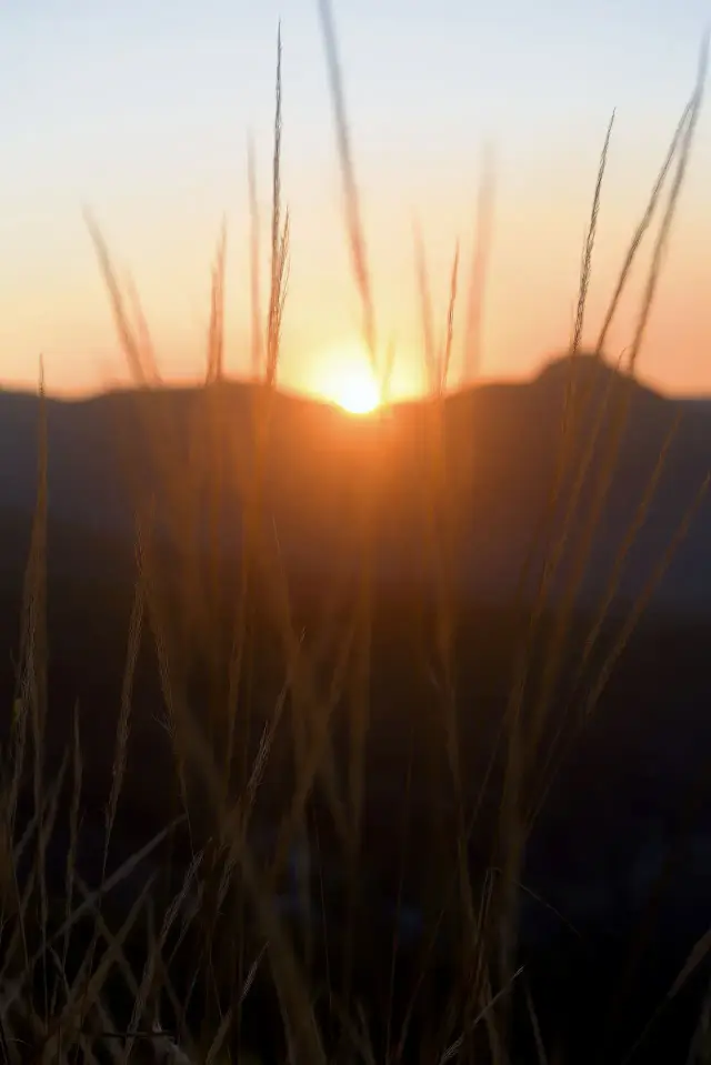 Gwinganna Rest and Reset: 4-Night Mini Detox Retreat, Gold Coast Hinterland