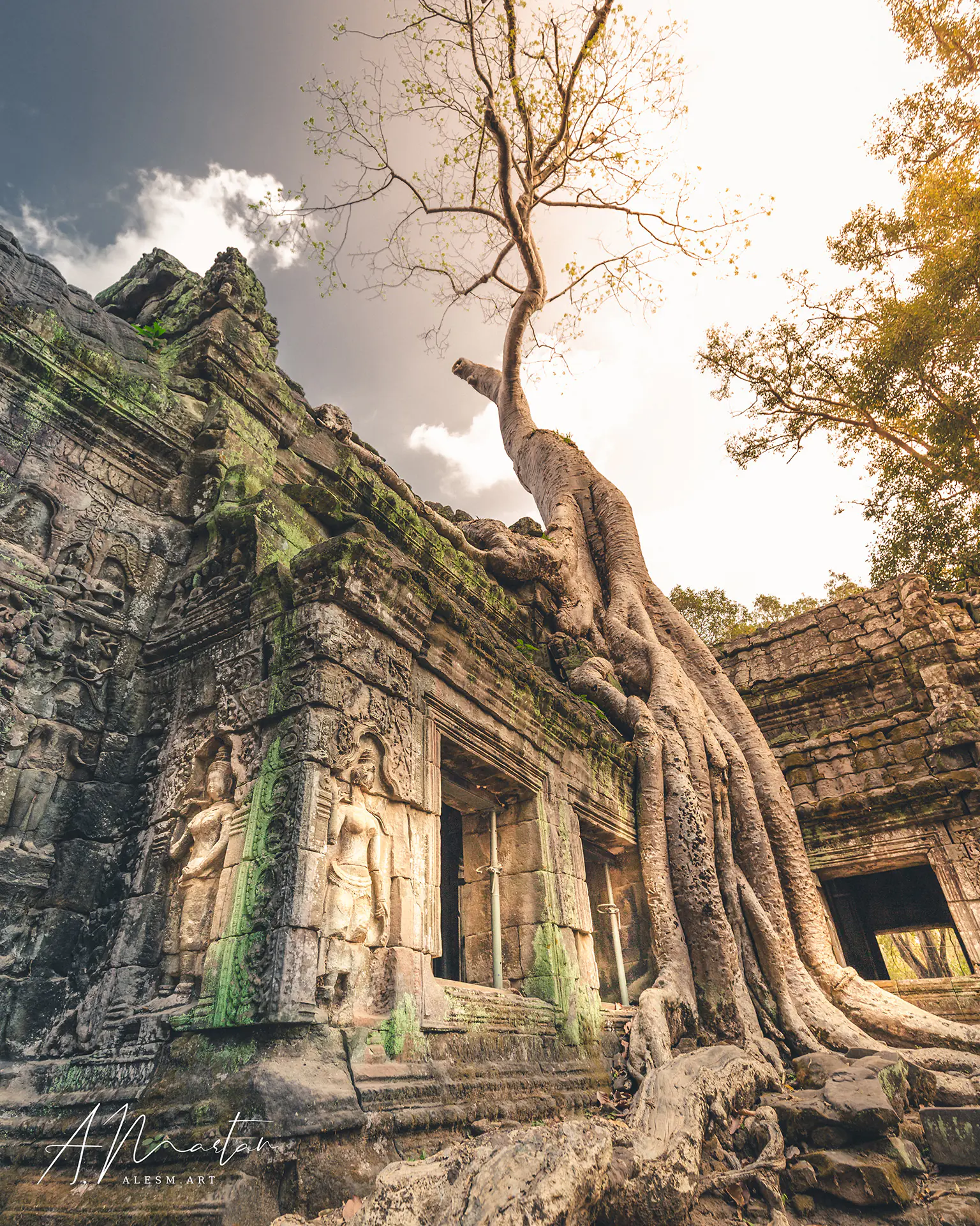 14-Day Cambodia Wellness & Volunteering Retreat: Yoga, Elephants, and Island Time