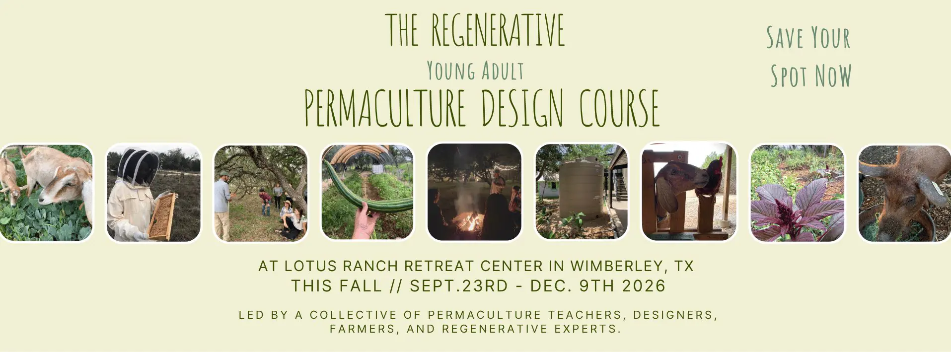 Low-EMF Yoga & Meditation Retreat Centre in the Texas Hill Country