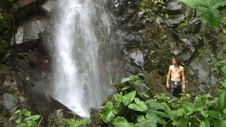 Amazon Rainforest Detox & Wellness Retreat in Peru