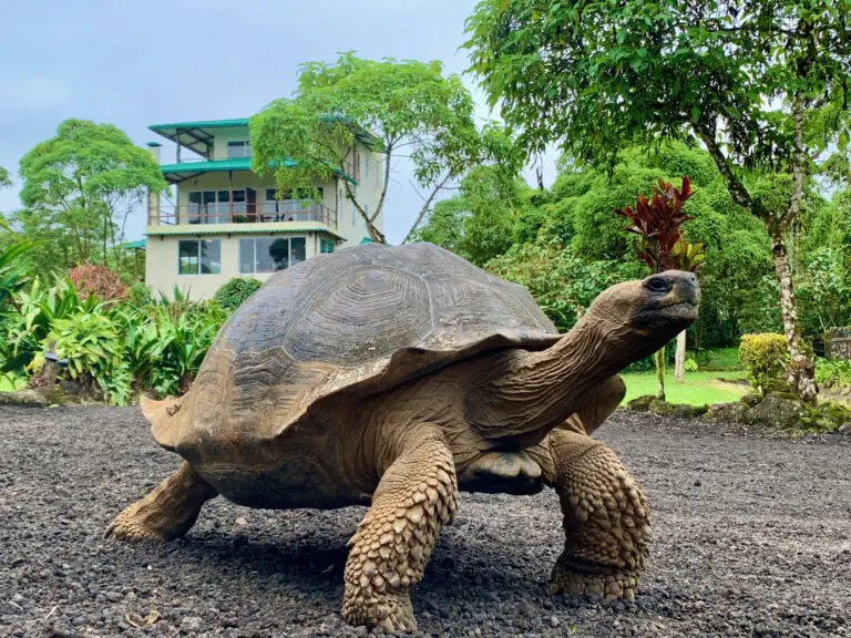 Galapagos Yoga and Wildlife Week on Santa Cruz Island