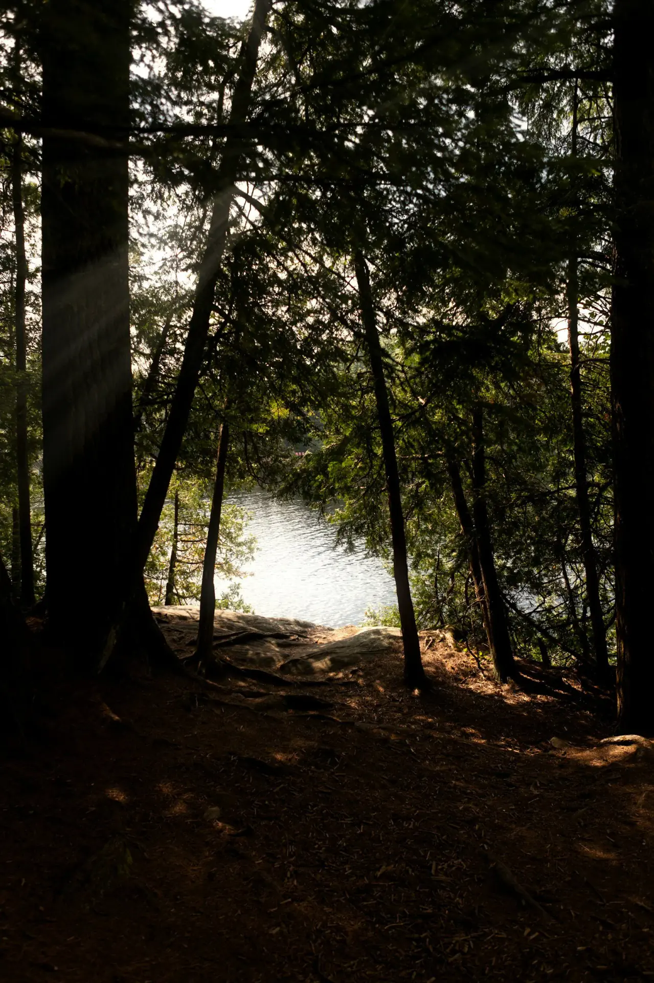 Wild Nature Retreats: Forest Wellness Weekends at BlackHouse, Ontario