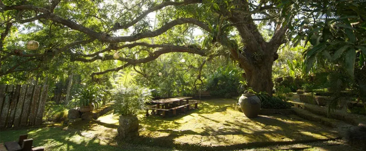 Medical-Grade Wellness Retreat at The Farm at San Benito, Philippines