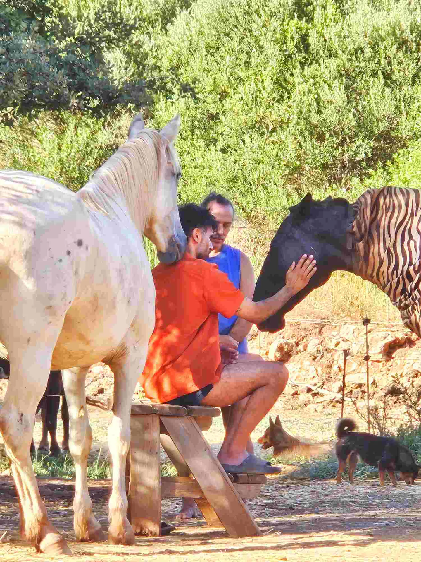 28-Day Healing & Reconnection Retreat in the Algarve, Portugal