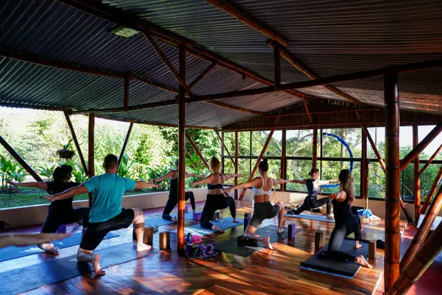 4-Day Wellness & Detox Retreat with Yoga in Costa Rica's Rainforest