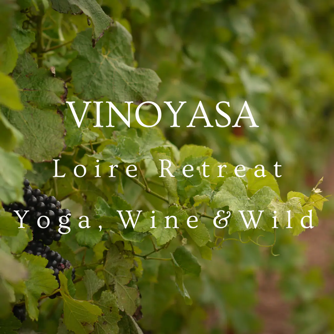 VINOYASA: Yoga & Wine Retreat in the Loire Valley, France