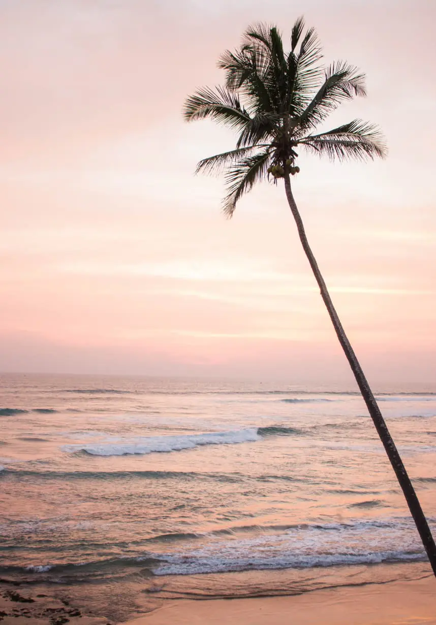 Surf & Yoga Camp in Uluwatu, Bali: Learn to Ride Waves in a Sustainable Beach Community