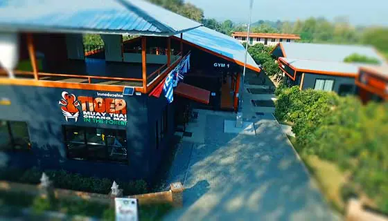 Muay Thai Training Camp in the Chiang Mai Hills