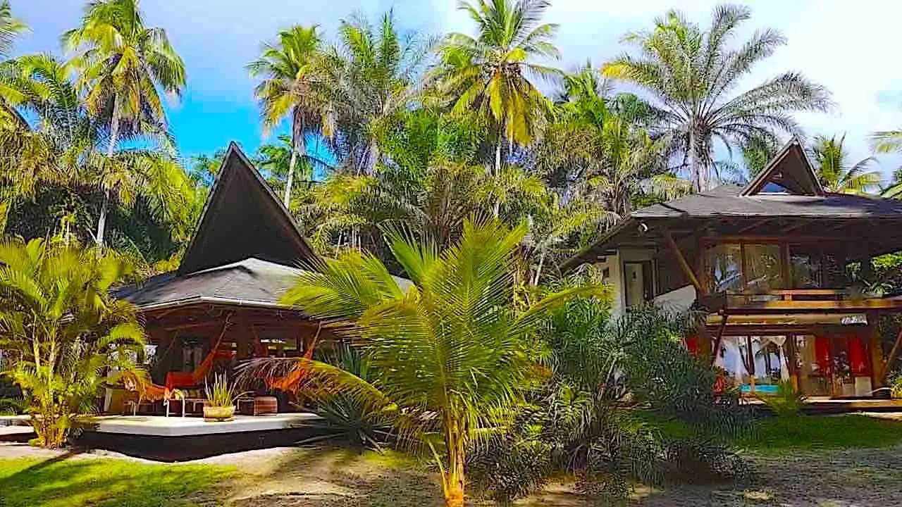 Yoga & Wellness Retreat in the Bahian Atlantic Forest, Brazil