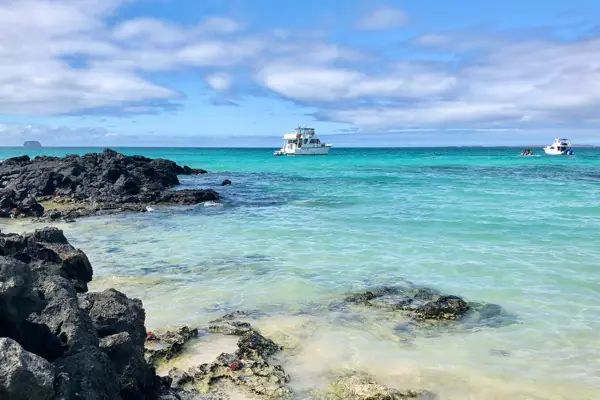 Yoga and Wildlife Week in the Galapagos Islands