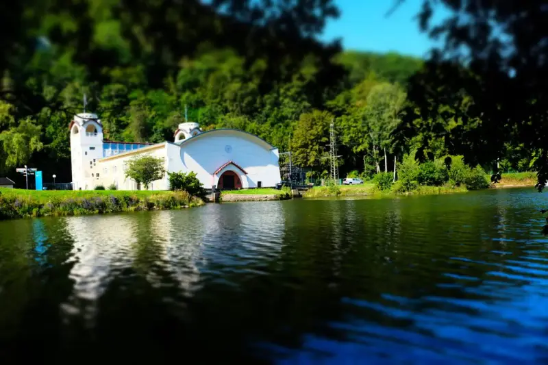 Yin & Hatha Yoga Wellness Week in Germany's Eifel National Park