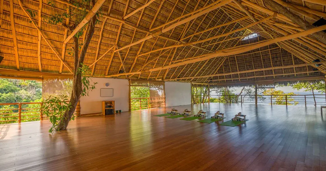 Panama Surf & Yoga Reset: 6-Night Wellness Retreat at Sansara