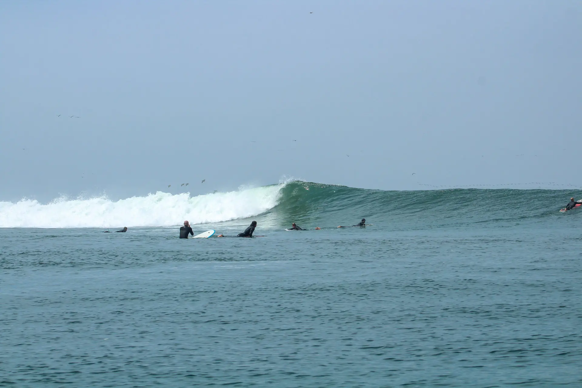Surf the Longest Left in the World: Chicama, Peru Surf Progression Camp